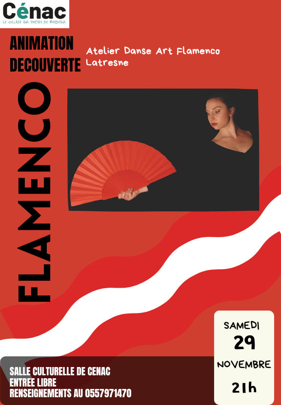 Animation Découverte du Flamenco